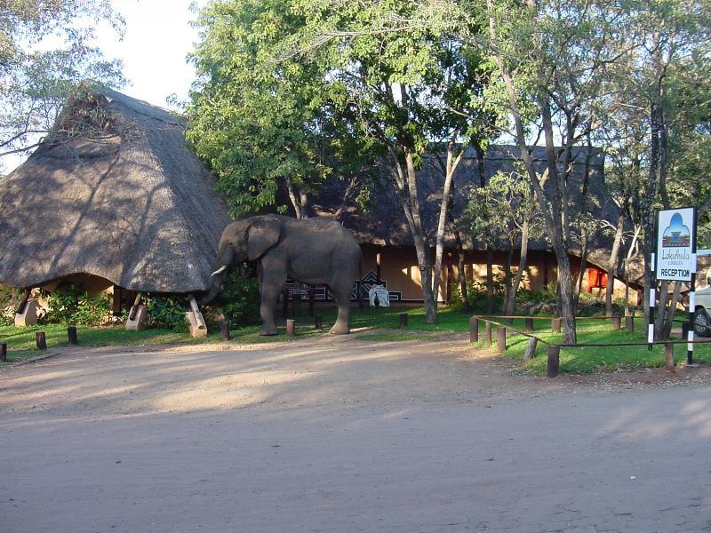 Lokuthula Lodges Victoria Falls Exteriér fotografie
